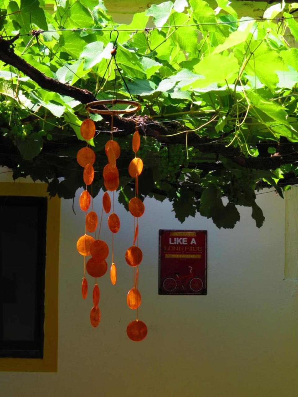 Chicamocha Hostel San Gil Εξωτερικό φωτογραφία
